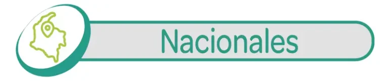 Boton 02 nacionales seleccionado