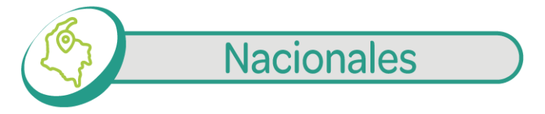 Mesa-de-trabajo-541_1_3x_1