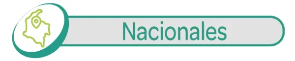 Boton 02 nacionales seleccionado
