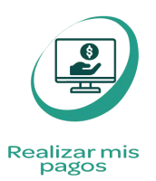 Boton Realizar Pagos